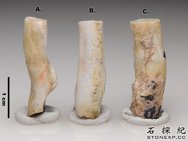 石探紀：標本：蛋白石化木化石：Opalised Wood